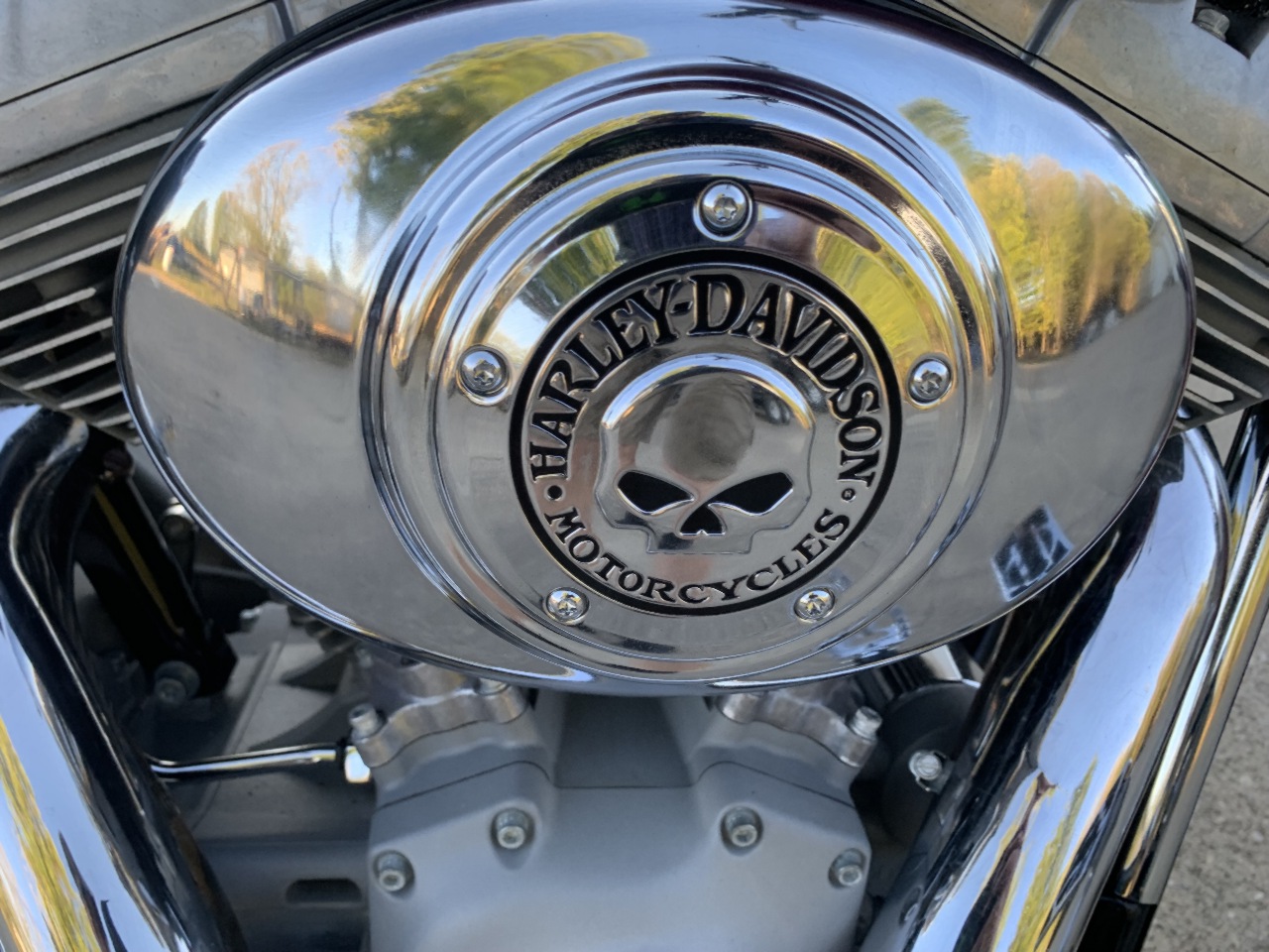 2002 Harley-Davidson Softail Standard